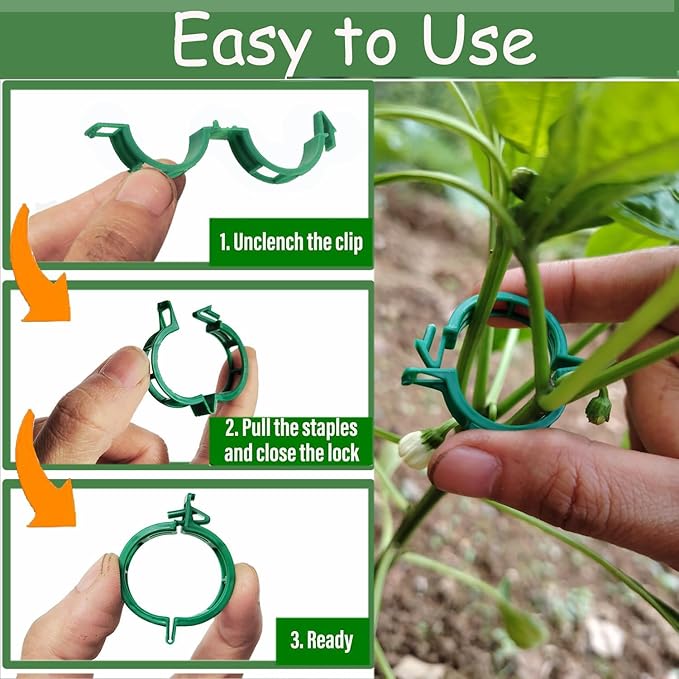 Plant Support Clips - Tomato Clips for String Trellis, 100pcs Grape Vine Clips for Garden Netting Climbing Plants, Secured Plastic Plant Clip for Fixing Stem and Vine (100, Green)