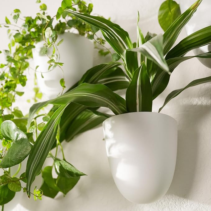 PlantPod Classic - Self-Watering Wall Planters (3, White) - Easy to Water and Install - Lightweight - Design Your Own Vertical Garden - Wall Planters for Indoor Plants