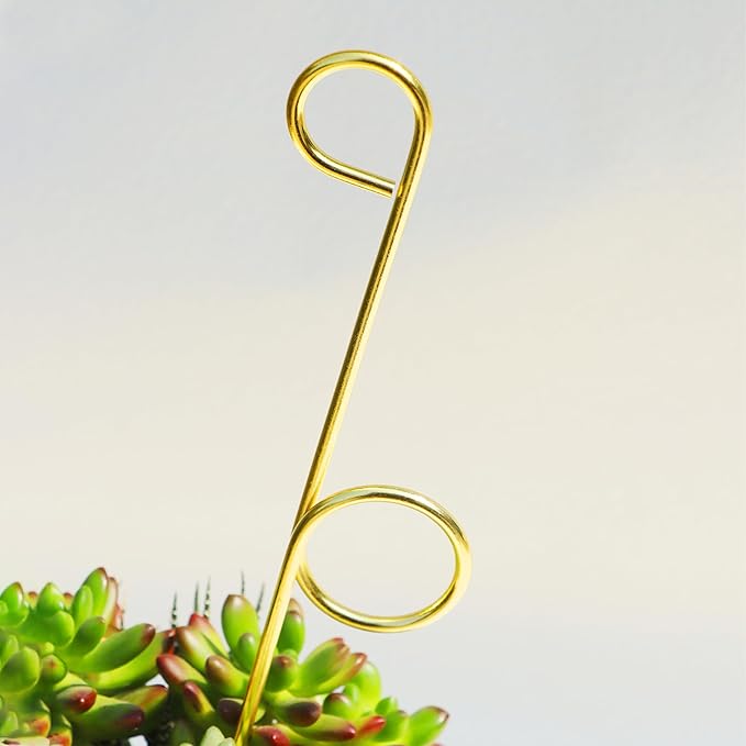 14.17in Plant Trellis Indoor, 4.2mm Dia Gold Small Trellis for Potted Plants, Metal Trellis for Climbing Plants Indoor Support for houseplant Hoya Photos Succulents Hostas, Plant Decor