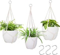 garini 3 Pack Different Size Macrame Plant Hanger,Hanging Plants Holder with 3 Hooks for Boho Home Decor(POTS NOT Included)