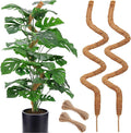 Soupiar 2 Pack 60'' Bendable Moss Pole for Monstera & Pothos - Tall Handmade Coco Coir Plant Support Stakes for Large Climbing Indoor Plants, Potted Houseplant Trellis Accessories