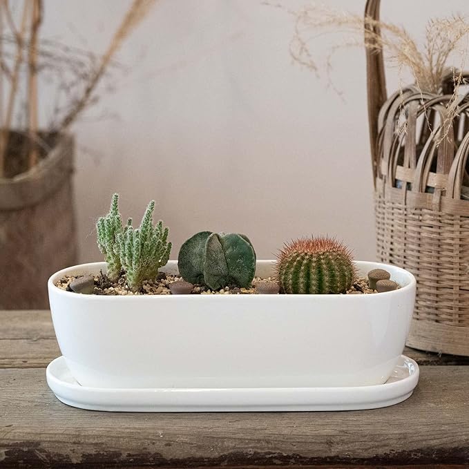E-liu Ceramic Plant Pots, 11+14 inch, Set of 2, Planters with Drainage Holes Saucers and Mesh Pads, Indoor Flower Succulent Pot with Hole Mesh Pad, Gifts for Mom, Plants Not Included