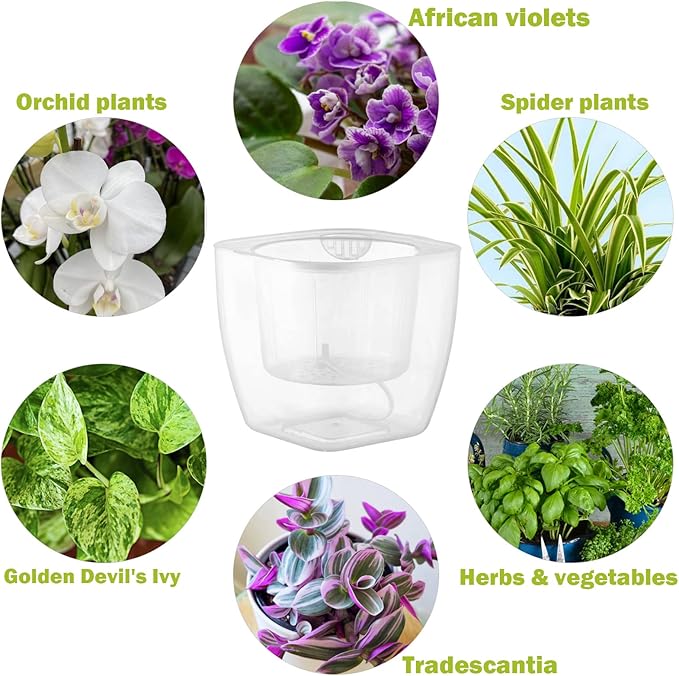 6-Pack 7 Inches Clear Self Watering Planters for Indoor Plants Large African Violet Plant Pots Plastic Wick Flower Pots with Water Injection Hole, Orchid Plant Pot Set, Clear