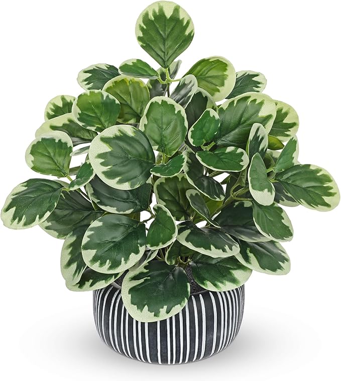 13" Artificial Plants Indoor Small Fake Plant in Ceramic Pot, Silk Plants for Home Decor Indoor, Faux Peperomia Potted Plant for Shelves, Desks, Home, Room, Office, Bedroom, Entryway, Tabletop Decor