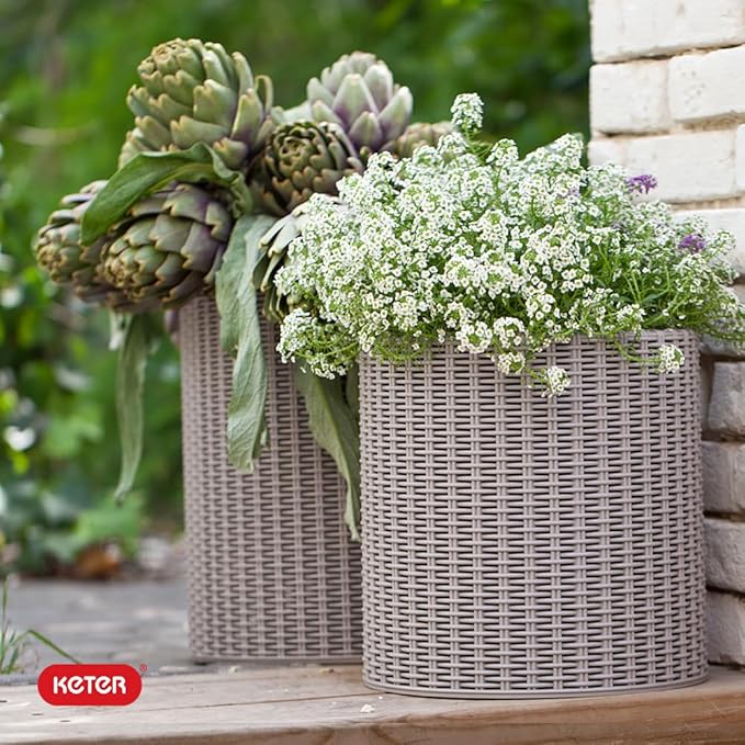 Keter Cylinder Set of 3 Rattan Resin Planter for Indoor and Outdoor Plants Ideal Decorative Planter for Porches and Patio Decor, Taupe