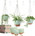 Larege Hanging Planters with Macrame Plant Hangers for Indoor Outdoor Plants 3 Set 10" / 8" / 7" Self Watering Pots Hanging Baskets Flower Pot Holders 3 Different Size Green Large