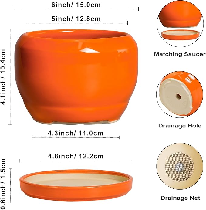 SQOWL Ceramic Plants Pots - 6 Inch Planter Indoor with Drainage Hole and Plant Saucer, Modern Round Planter Outdoor, Decorative Succulent Pot, Home Decor, Housewarming Gifts, Orange