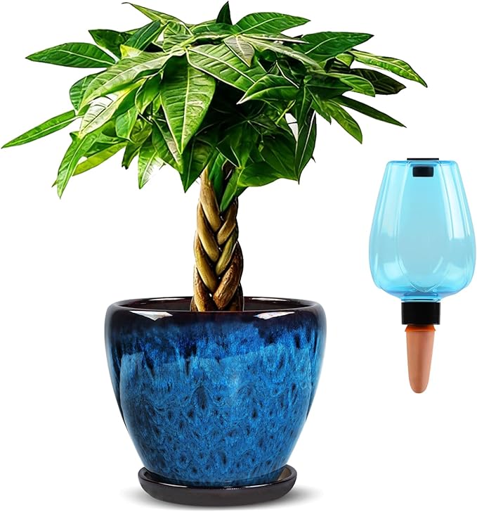 Ceramic Pots for Plant with Self Watering Globes, 8 inch Planters for Indoor Plants with Saucer, Glaze Flower Pots Outdoor with Drainage Holes, Decorative Garden Pots