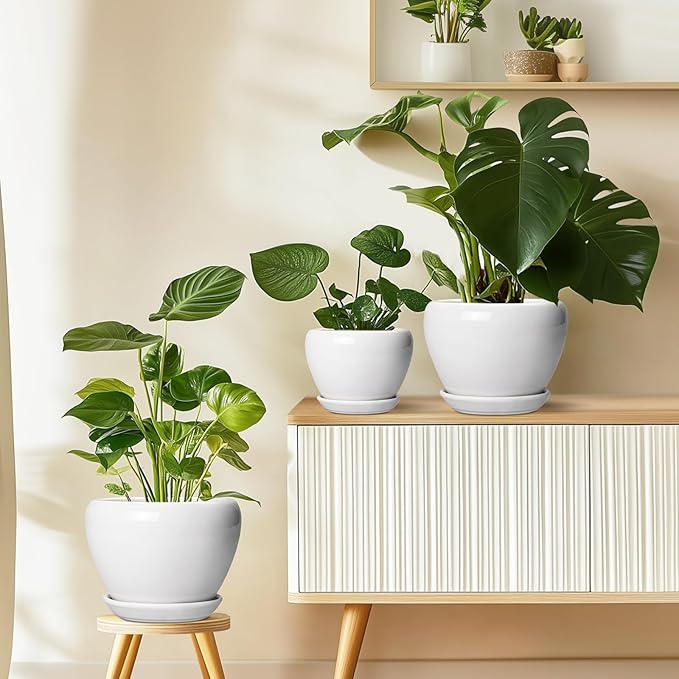 Ceramic Pot for Plants - 8 Inch Ceramic Planter for Indoor Plants, Modern Round Planter with Drainage Hole and Saucer, Plant Lover Gifts, Home Office Garden Decor, White