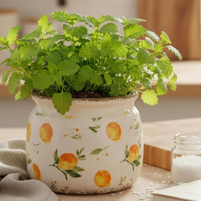 Lemon Summer Decor Plant Pot, 6 Inch Vintage Ceramic Planter with Drainage for Indoor Plants, Rustic Lemons Vase for Centerpieces, Mediterranean Kitchen Home Decor, Yellow Gifts for Gardening