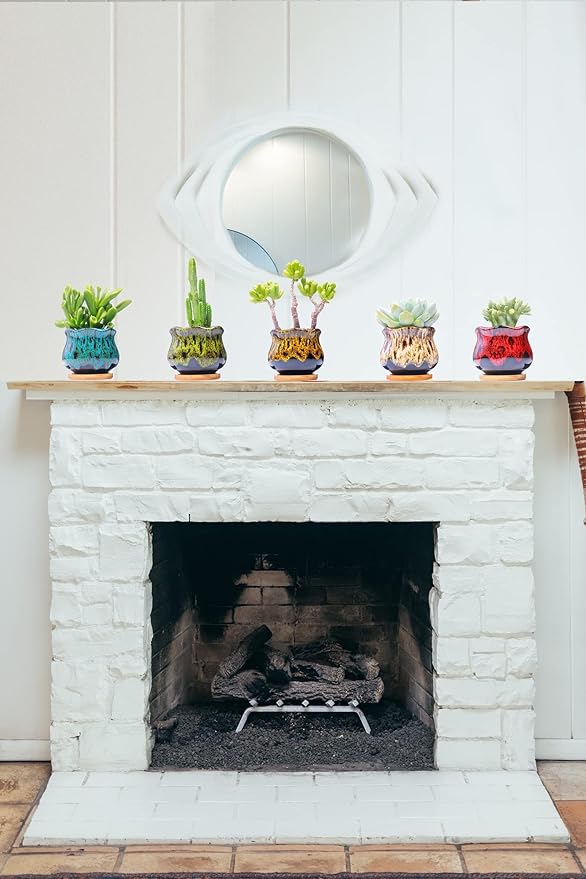 Cute Ceramic Succulent Garden Pots, Planter with Drainage and Attached Saucer, Set of 5 -Plants Not Included (Fambe)