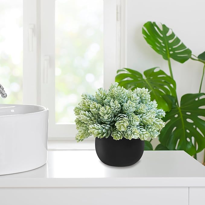 Winlyn Set of 3 Artificial Succulent Plants in Black Concrete Pots Faux Aloe Hops String of Pearls Potted Plants Small Fake Plants Desk Plants for Home Office Desk Kitchen Bathroom Shelf Windowsill