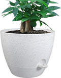 12 inch Large Self Watering Pots, Plastic Planters with 60oZ Removable Deep Reservoir and Multi Mesh Drainage Holes for Indoor Outdoor Garden Plants and Flowers, White Speckles