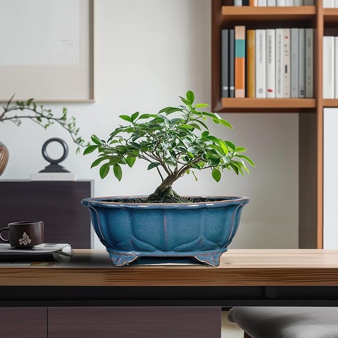 Bonsai Tree Pot - 11 Inch Ceramic Succulent Pots, Bonsai Planter for Indoor Outdoor, Decorative Plant Pot with Drainage Hole, Oval Flower Pot, Home Garden Decor, Garden Gifts, Retro Blue