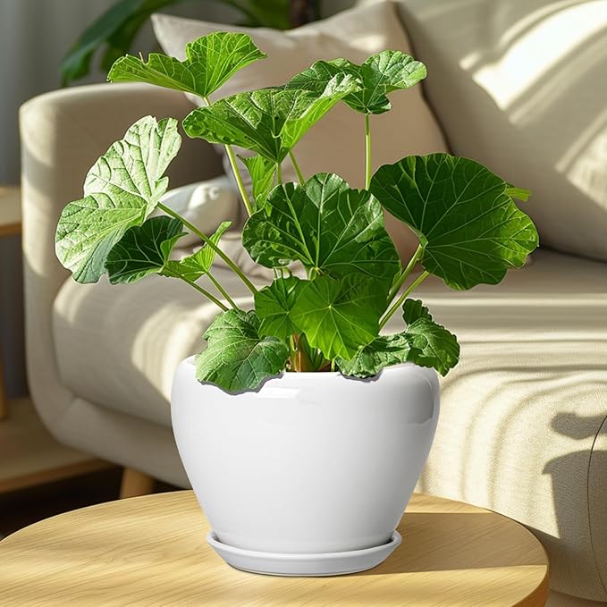 Ceramic Pot for Plants - 8 Inch Ceramic Planter for Indoor Plants, Modern Round Planter with Drainage Hole and Saucer, Plant Lover Gifts, Home Office Garden Decor, White
