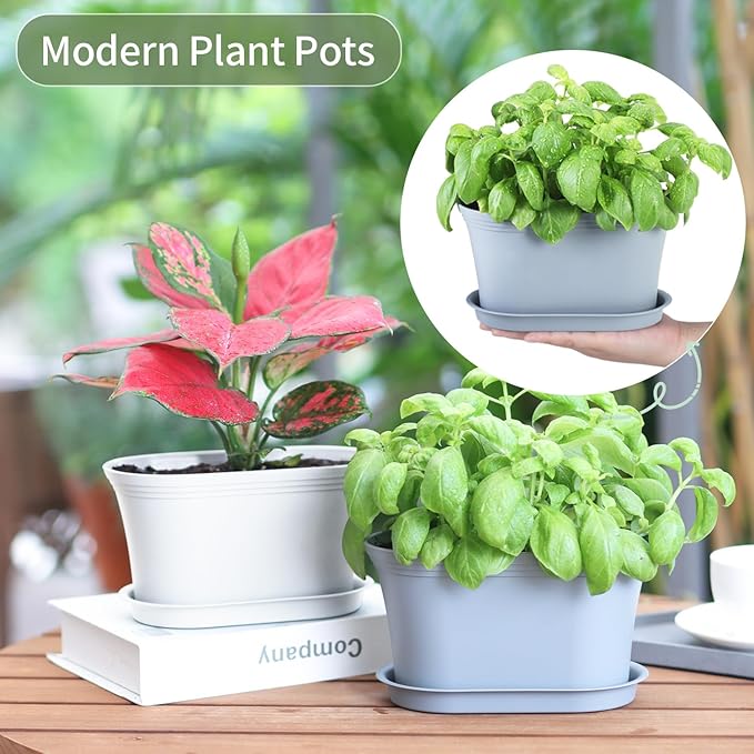 Windowsill Garden Pots, White Plastic Flower Pots with Drainage Tray for Herb, Succulents, African Violet (Pack of 6)