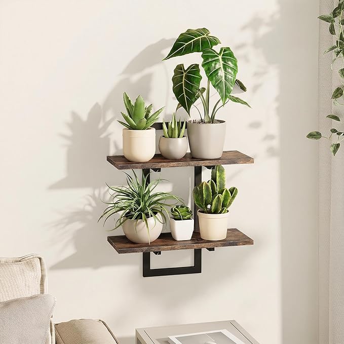 Bamworld Wall Planters for Indoor Plants Window Plant Shelves Vertical Plant Holder Wall Decor Plant Stand Indoor Floating Shelves for Plant Hangers for Living Room Bedroom Bathroom