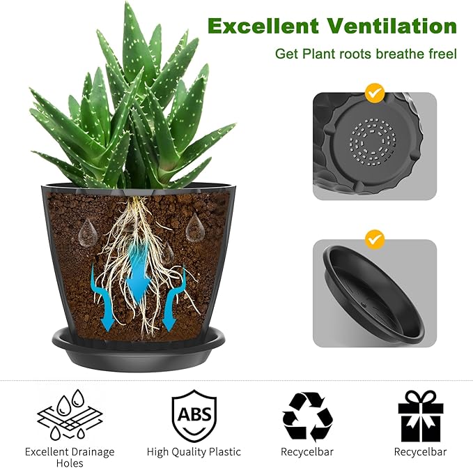 6 Pack 6 Inch Indoor Plant Pots with Drainage Holes, Outdoor Plastic Decorative Flower Pots, Garden Planters with Tray Saucers for Orchids, Violets, Succulents, Herbs, and Other Plants