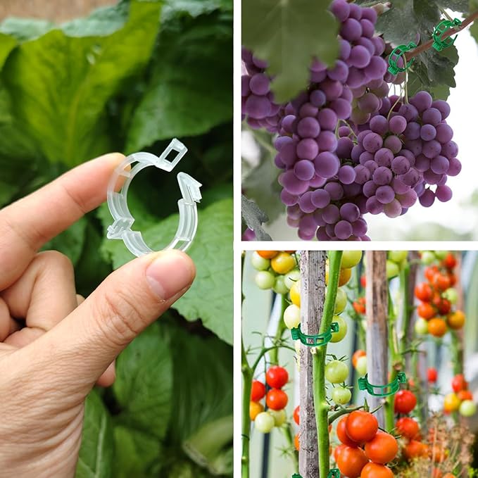 Plant Support Clips, 100 Pcs Tomato Clips, Plastic Trellis Clips, Grape Vine Tomato Vine Vegetables Plants Garden Support Clips to Grow Upright Makes Plants Healthier (Plastic, White)