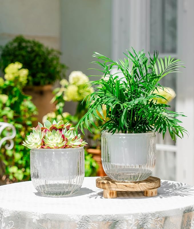 Melphoe Self Watering Pots for Indoor Plants Planter, 6.5 Inch 2 Pack Planters Self Watering Plant Pots for Flower, Houseplants, Succulent, African Violets and Cactus with Drainage