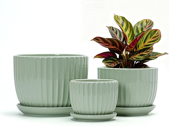 Ton Sin Flower Pots, Light Green Ceramic Plant Pots Set of 3,Small Glazed Succulent Pots with Drainage Hole,Cactus Planter with Saucer,Outdoor Garden Pots (Green)