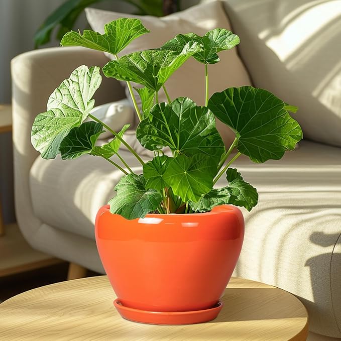 Indoor Plant Pot 8 Inch - Ceramic Plant Pot with Drainage Hole and Saucer, Glaze Decorative Modern Round Planter for Outdoor Plants, Housewarming Gifts, Office Home Garden Decor, Orange