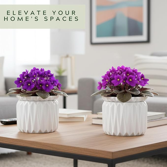 6 Inch African Violet Pots Self Watering, Ceramic Planter with Water Reservoir and Fill Lines, 4 Inch Opening, Indoor Flower Pot, Holds 3 Weeks of Water (2 Pack White)