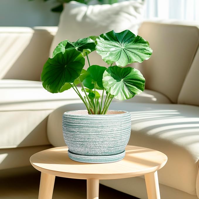 SQOWL Ceramic Planters for Indoor Plants - 8 inch Plant Pot Outdoor, Ceramic Flower Pot with Drainage Hole and Saucer, Round Modern Planter, Living Room Apartment Decor, Birthday Gifts, Green