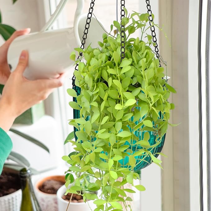 Maxcheck 4 Pcs Self Watering Hanging Planters Indoor Gift 6.5'' 4.5'' Hanging Flower Pots Baskets Outdoor Self Watering Plant with 3hooks Drainage Holes for Home(Emerald)