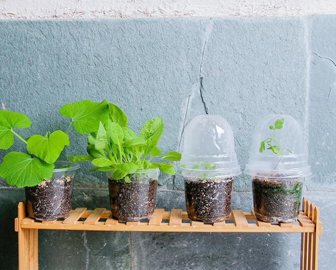 30 Packs 4 Inch Reinforced Clear Nursery Pots with Humidity Dome, Transparent Plastic Plant Pot Seedling Planter with Drainage Holes for Vegetable Propagation, Root Cutting, Seed Starting