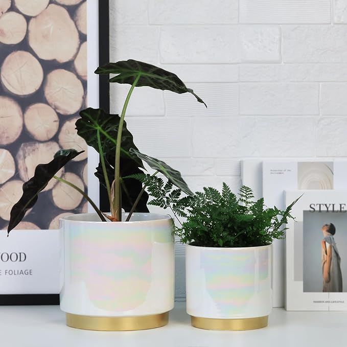 Gepege White Indoor Plant Pots for Plants, Ceramic Planter with Drainage Hole, 7.6 Inch +6 Inch 2pcs Succulent Orchid Flower Pot - Rainbow Pearl Glaze