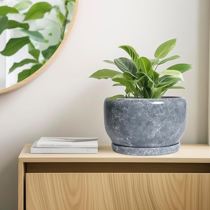 SQOWL Ceramic Pot for Plants - 10 Inch Plant Pot Indoor with Drainage Hole and Saucer, Round Ceramic Planter, Decorative Large Flower Pot Outdoor, Home Office Room Decor, Garden Gifts, Gray