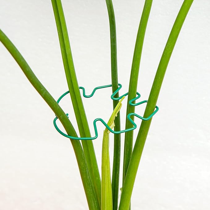 Monstera Plant Stem Support - 4.13 x 2.95 Inches 5 Pack Durable Leaf Holder for Climbing Plants, Ideal for Monstera & Vining Plants, Elegant Design for Plant Lovers