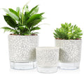 Self Watering Pots for Indoor Plants, 6 & 5 & 4 Inch Stylish Flower Pots, Set of 3 Modern Planters with Self-Watering Feature (Crack Texture)