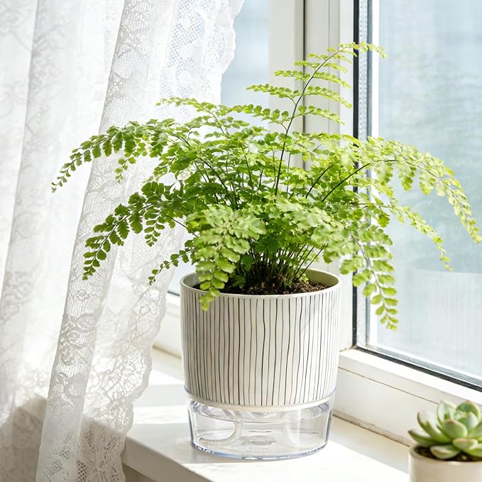 Self Watering Pots for Indoor Plants, 4 and 5.3 Inch, Plastic, Black Stripes, Round, Modern, Tabletop