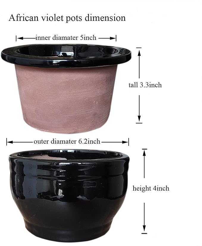 African Violet Pots Self Watering Round Ceramic Violet Pot (Black, 6 inch)