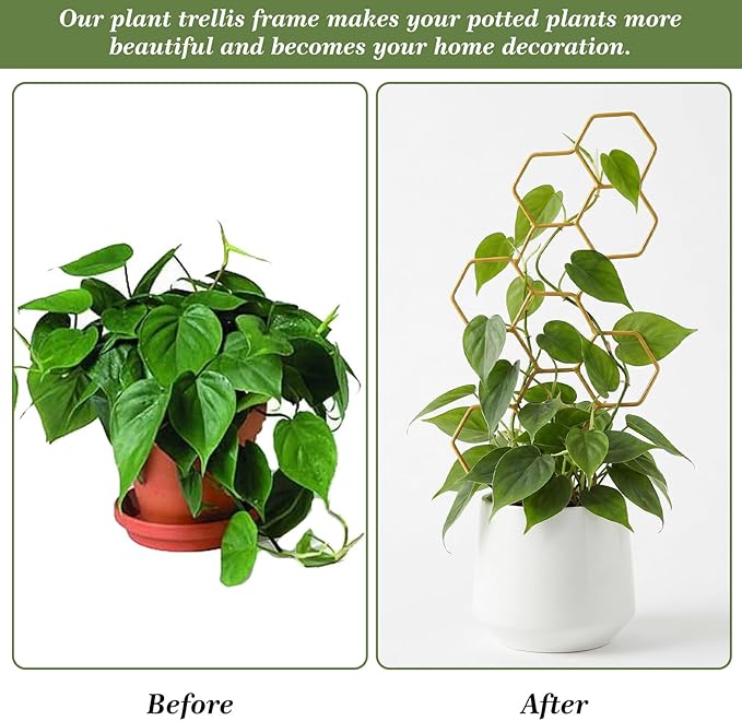 Small Trellis for Potted Plants, 14 Inch Indoor Trellis for Climbing Plants Honeycomb Shape Metal Plant Trellis for Pots Plant Climbing Support for Flower Hoya Pothos Houseplants