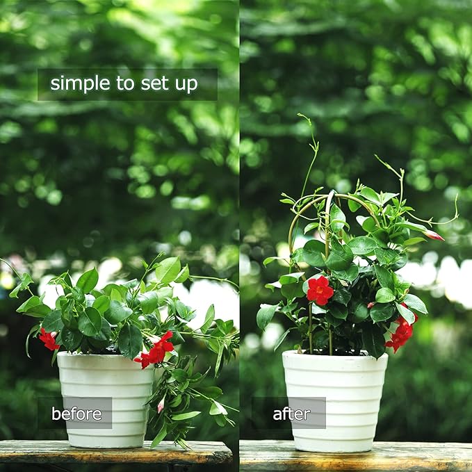 Plant Trellis Indoor 16in, Loop-Shaped Bamboo Trellis - 3 Pack for Climbing Plants, Hoya, Potted Plants