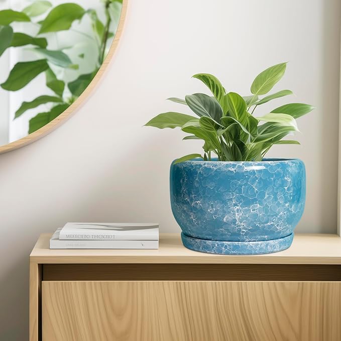 SQOWL Ceramic Planters - 10 Inch Plant Pot Indoor with Drainage Hole and Saucer, Decorative Flower Pot Outdoor, Round Large Planter, Living Room Office Garden Decor, Plant Lover Gifts for Women, Blue