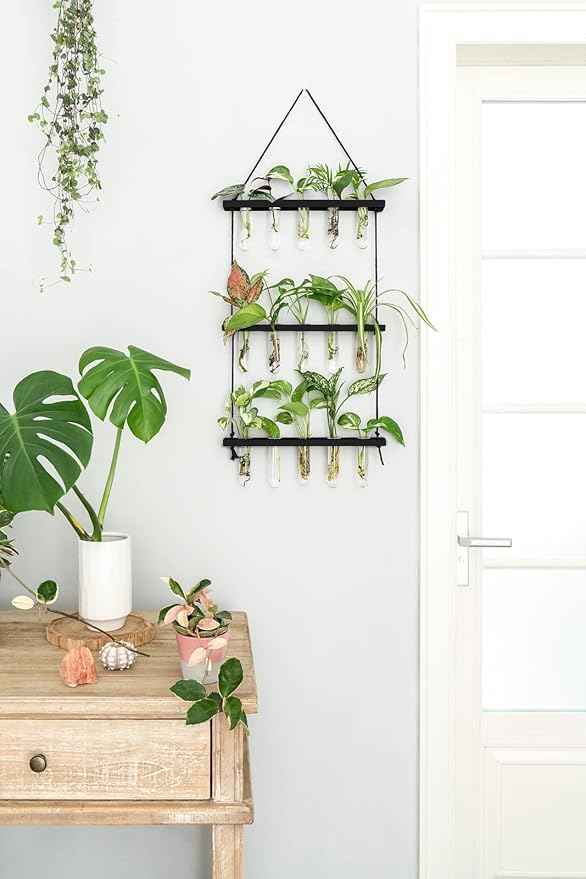 Mkono 3 Tiered Wall Hanging Plant Terrarium with Wooden Stand Mini Test Tube Flower Vase Glass Planter for Hydroponic Plant Cutting Home Garden Office Decor Gift