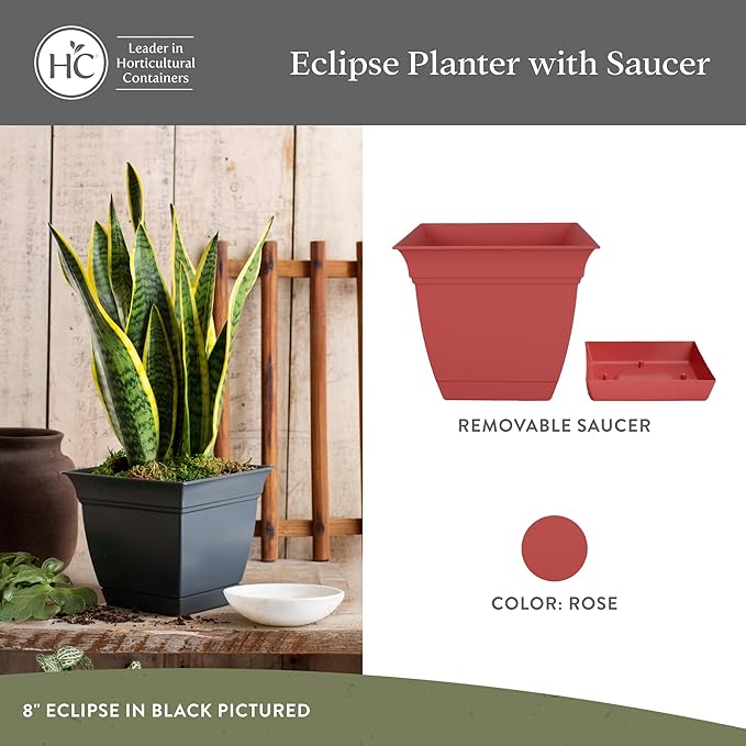The HC Companies Eclipse Square Plastic Planter w/Attached Saucer - Outdoor & Indoor Plant Pot with Drainage Holes - Lightweight, UV-Resistant Plastic Pots for Plants (8" Rose, Pack of 1)