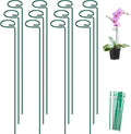 FEED GARDEN 36 Inch 12 Pack Plant Support Stakes, Metal Garden Flower Stakes and Supports for Outdoor Plants, Plant Stem Support with 24 Twist Ties for Amaryllis Lily Rose Peony Tomatoes Gladiolus