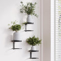 Metal Wall Planters Mid Century Modern Floating Shelves for Indoor Hanging Plants, Space-Saving Vertical Garden for Home & Office 3 Pack Black