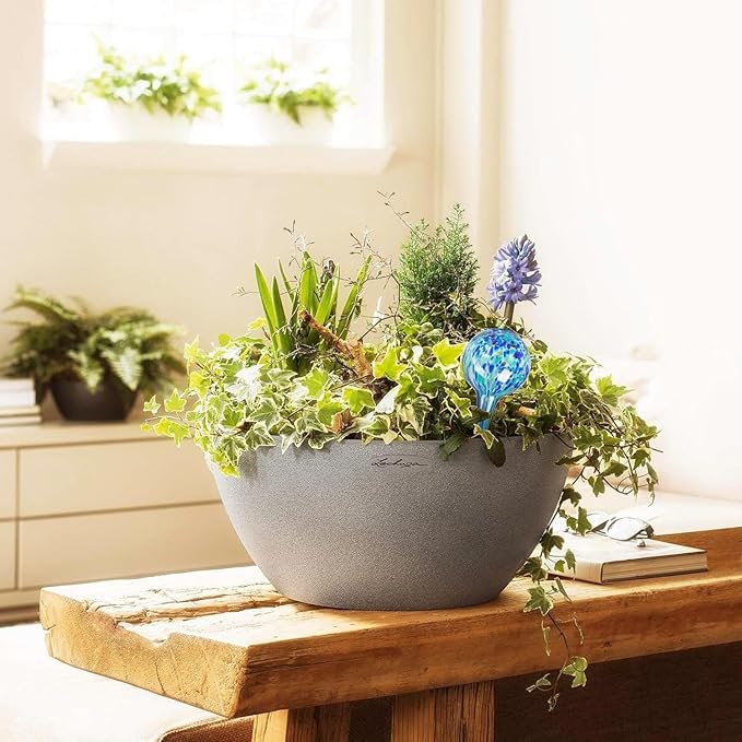Plant Watering Globes Set of 6 - Small Glass Self Watering Bulbs Up to 5 Days of Irrigation - for Indoor & Outdoor Plants - Multicolor, Automatic, Glass Watering Bulbs for Daily Use, Watering Devices