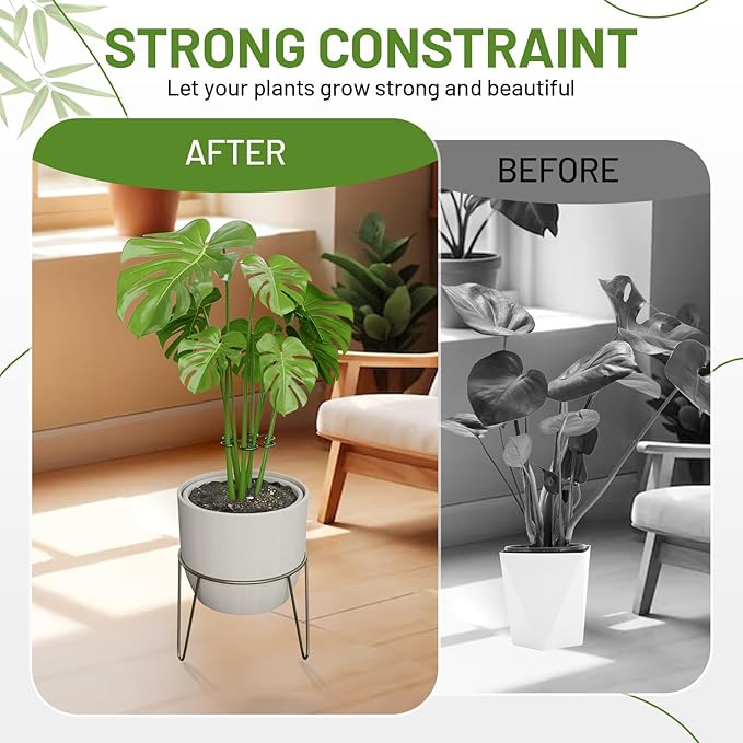 4PCS Green Iron Monstera Support, Uniquely Designed Plant Support Stakes for Indoor Plants, Stable Plant Stakes and Supports, Turtle Shell Bamboo Clamp Set for Thriving Growth