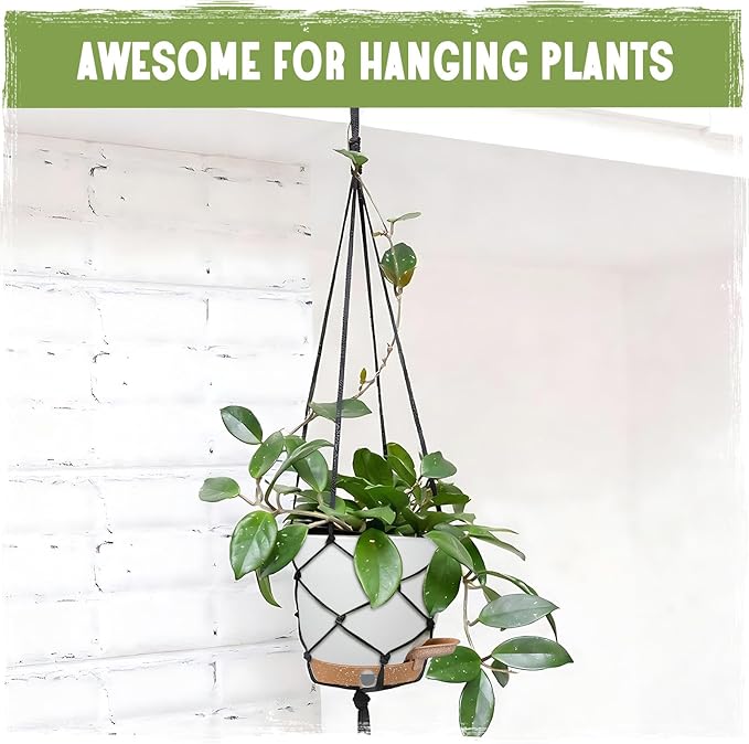 Self-Watering Pots for Indoor Plants 4 Pack, 6/8/10/12 Inch Outdoor Planters with Water Level Indicator&Deep Reservoir, Decorative Flower Pots for Indoor Plants,Home Decor (White, 12+10+8+6 inch)