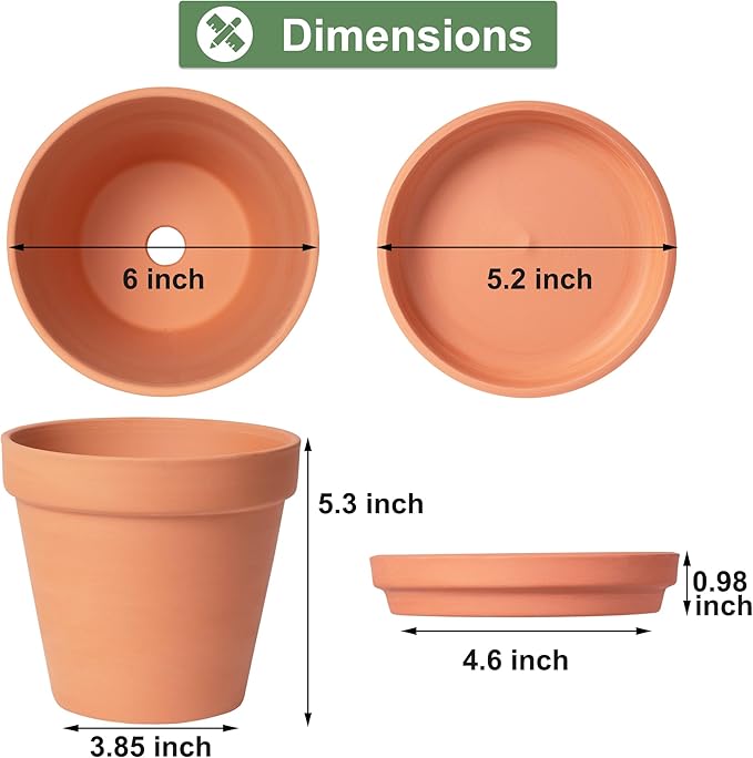 Orceler 6 inch Terracotta & Clay Pots for Plants with Saucer, Medium Terra Cotta Plant Pots with Drainage Hole, Flowerpot with Tray, Terracotta Pot for Indoor Outdoor Plant - Pack of 4 Planters