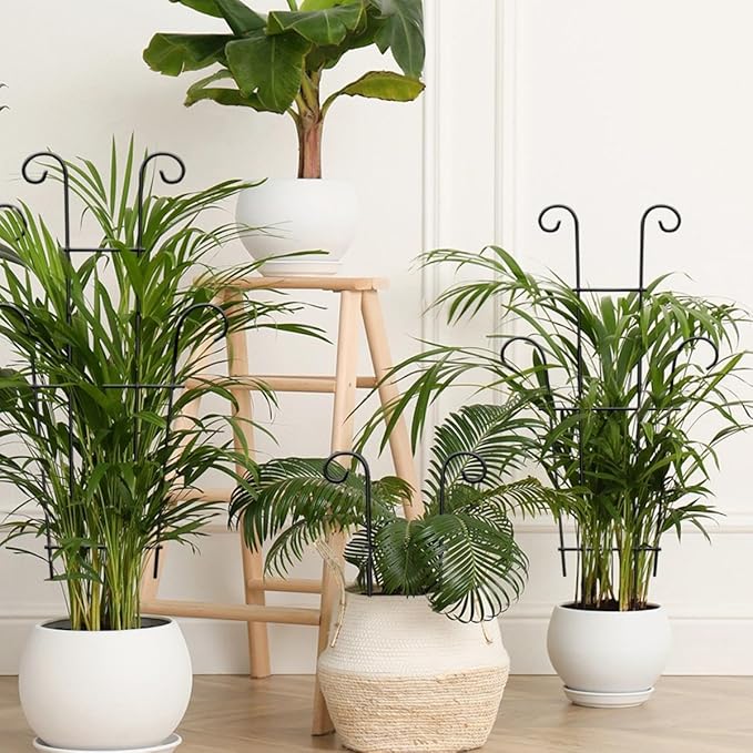 Plant Trellis for Potted Plants 2p, Larger 23in Garden Trellis for Climbing Plants Indoor Outdoor, Rustproof House Plant Support Stakes for Pothos Hoya Ivy Flower