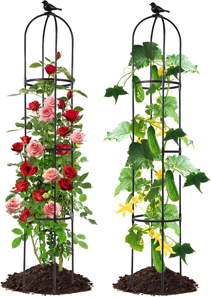 Lalahoni Garden Obelisk Trellis for Climbing Plants Outdoor, 6ft Round Rose Trellis for Pots, Metal Plant Support for Clematis, Jasmine, Ivy, Decorative Outdoor Trellis, Black, 2Pack