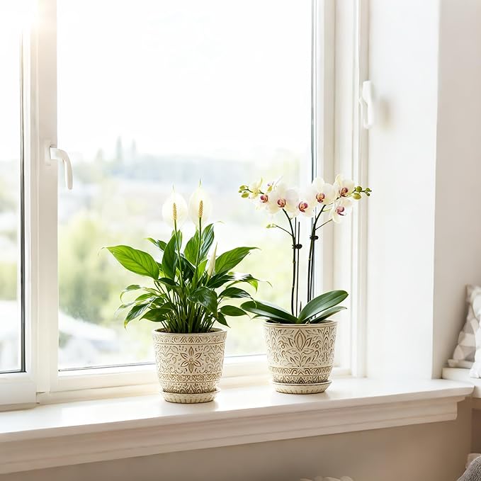 Gepege 6 Inch White Ceramic Planter, Plant Pot with Drainage Holes and Saucers for Indoor Plants, Birthday for Women Mom